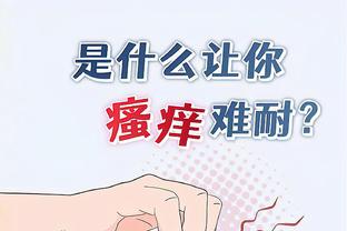 开云app全站官网入口